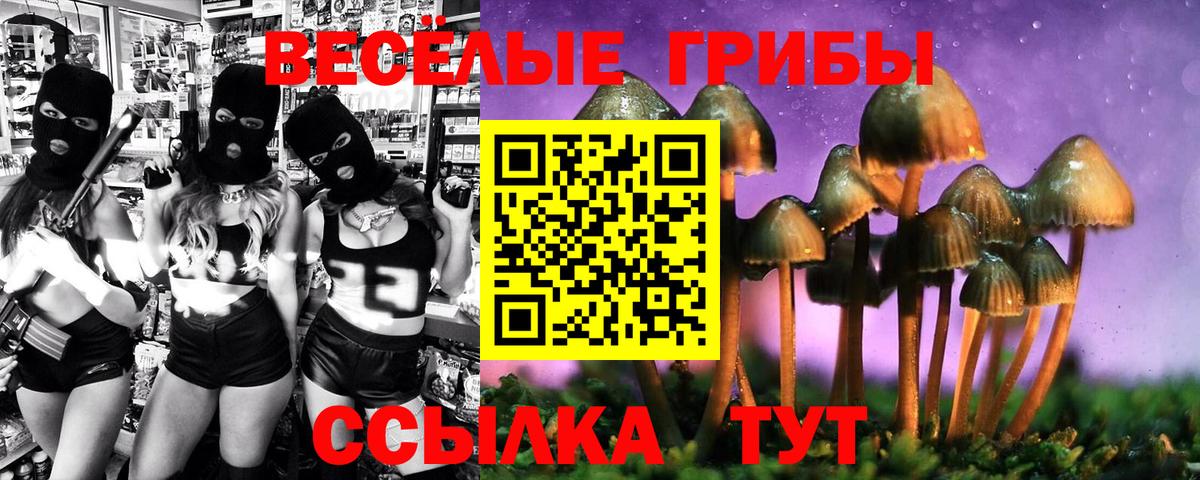Псилоцибиновые грибы Magic Shrooms  Галлюциногенные грибы ЛСД  Братск  Вход с VPN 